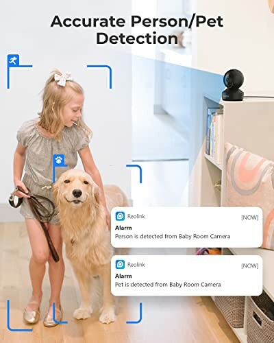 A child and dog detected by a security camera with notifications.